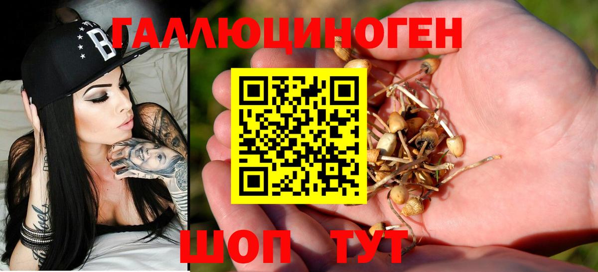 закладка  Псилоцибиновые грибы мухоморы  Вход с VPN  Королёв 