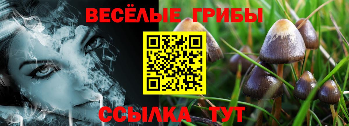 Псилоцибиновые грибы мухоморы Королёв